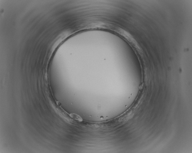 X0000078261234200612011646