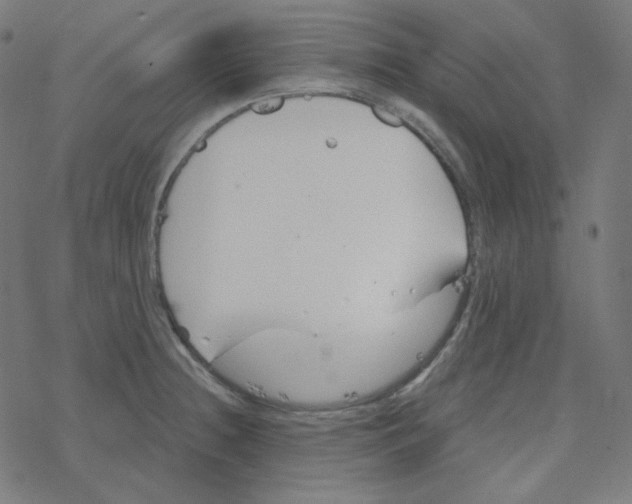 X0000078261236200612011646