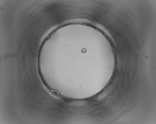 X0000078261237200612011646