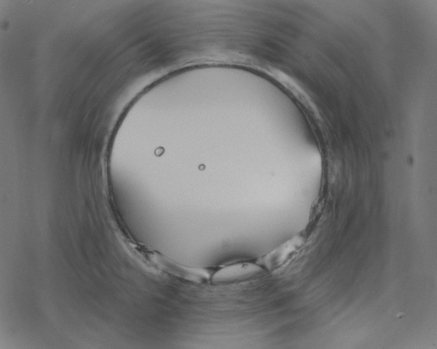 X0000078261238200612011646