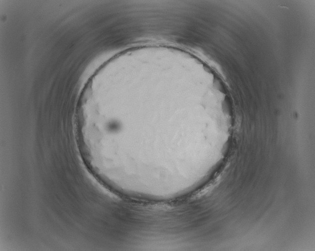 X0000078261239200612011646