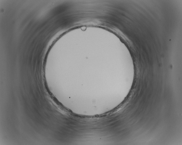 X0000078261240200612011646