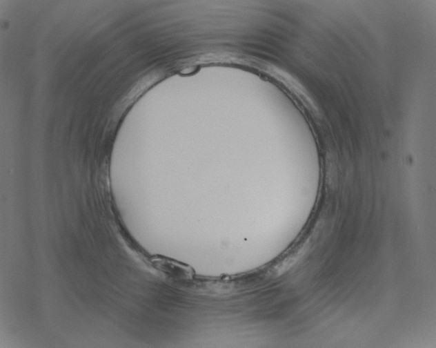 X0000078261241200612011646