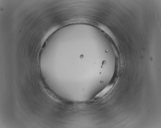 X0000078261242200612011646