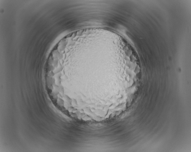 X0000078261243200612011646