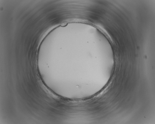 X0000078261244200612011646