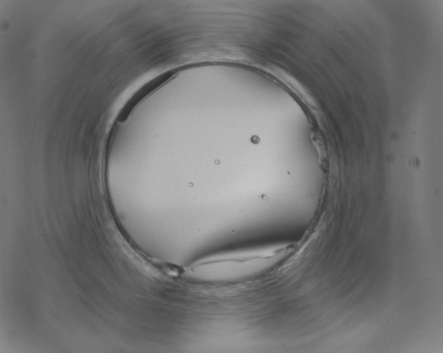 X0000078261246200612011646