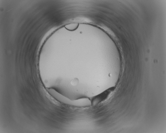 X0000078261248200612011646