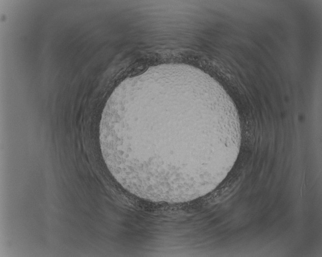 X0000078261249200612011646