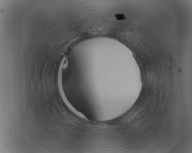 X0000078261250200612011646