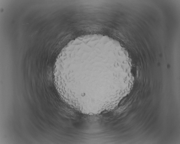 X0000078261251200612011646