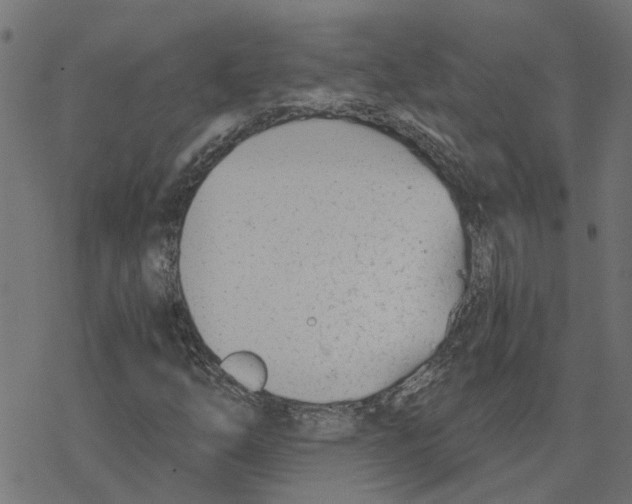 X0000078261254200612011646