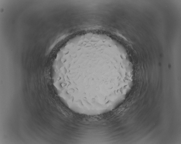 X0000078261255200612011646