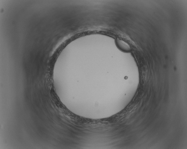 X0000078261256200612011646