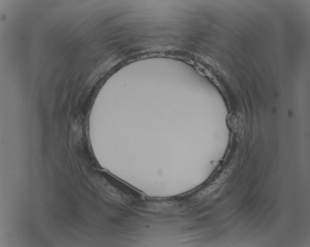 X0000078261257200612011646