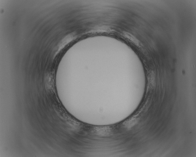 X0000078261258200612011646