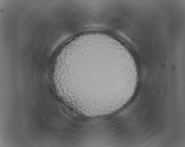 X0000078261259200612011646