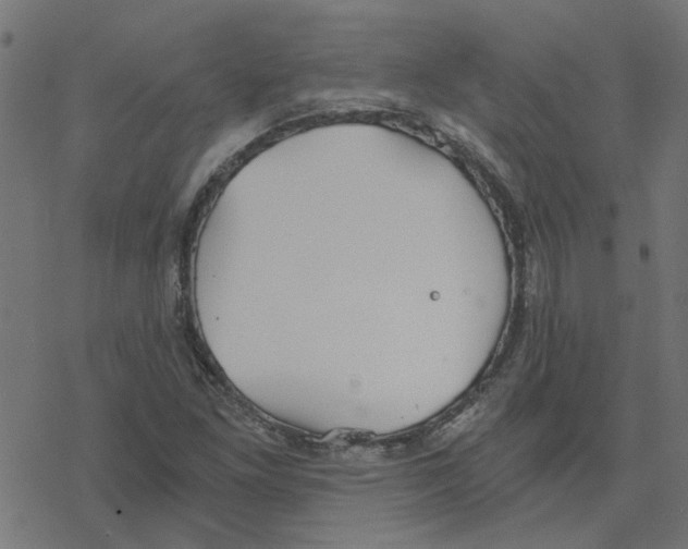 X0000078261261200612011645