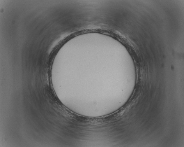 X0000078261262200612011645