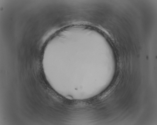 X0000078261263200612011645