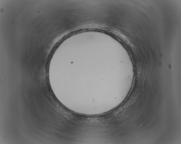 X0000078261264200612011645