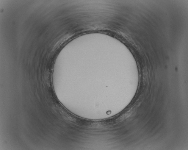 X0000078261265200612011645