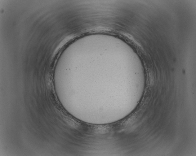 X0000078261266200612011645