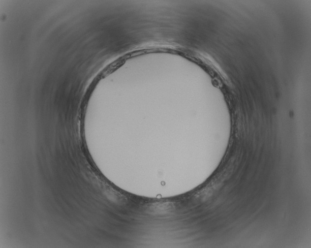 X0000078261268200612011645