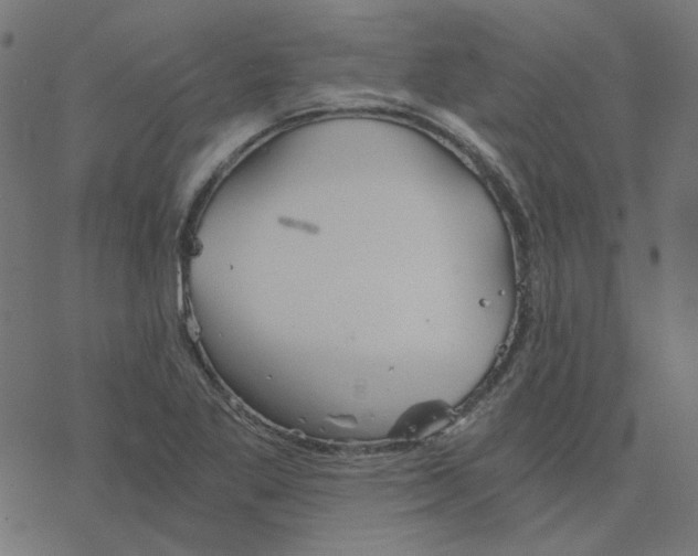 X0000078261269200612011645