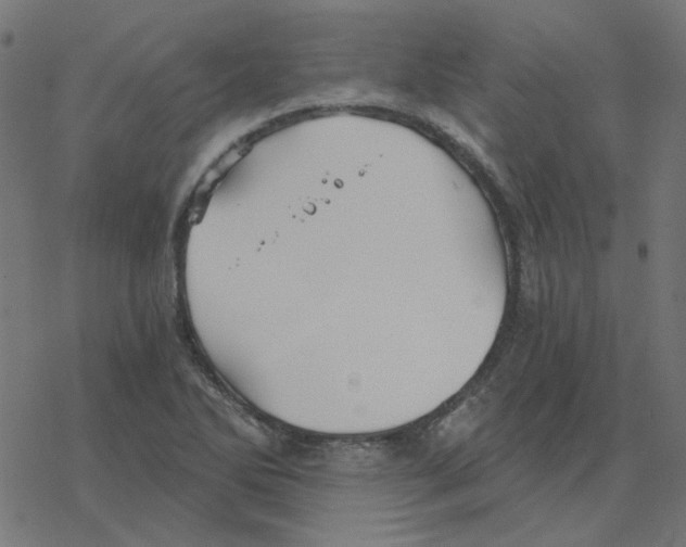 X0000078261270200612011645