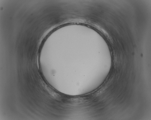 X0000078261272200612011645