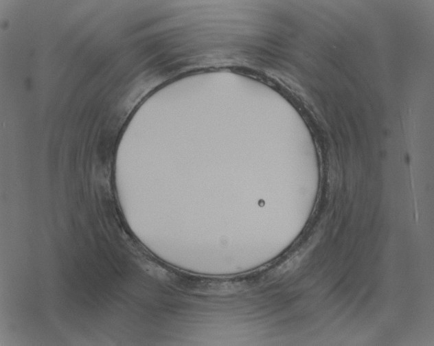 X0000078261273200612011645