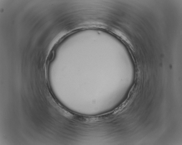 X0000078261275200612011645