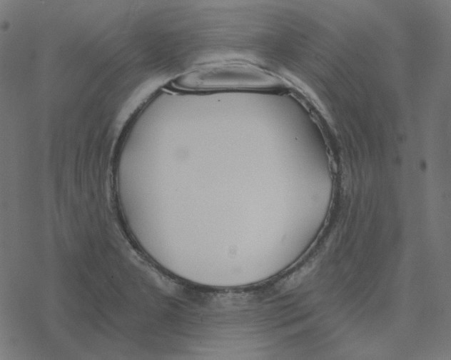 X0000078261277200612011645