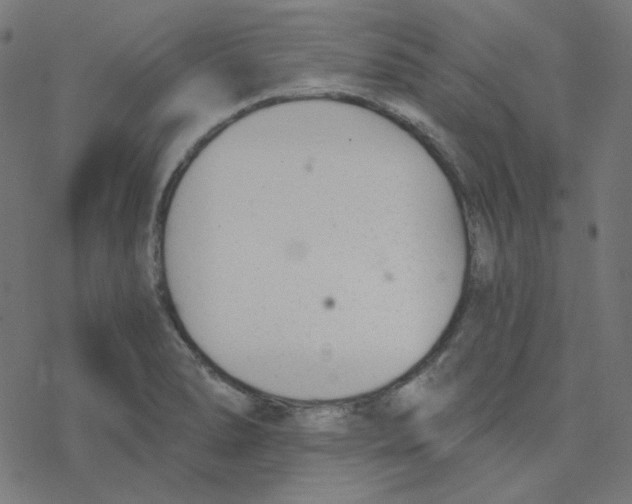 X0000078261278200612011645