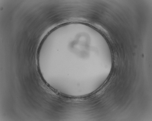 X0000078261280200612011645