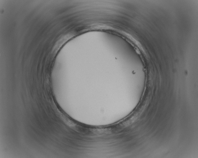 X0000078261281200612011645