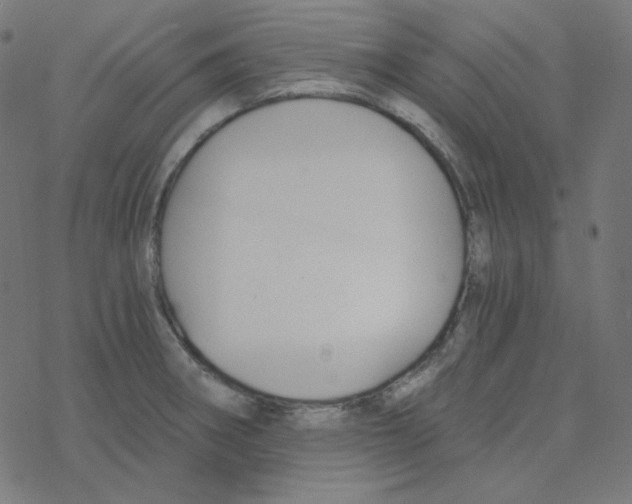 X0000078261282200612011645