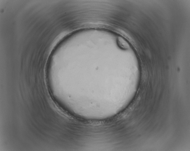 X0000078261283200612011645