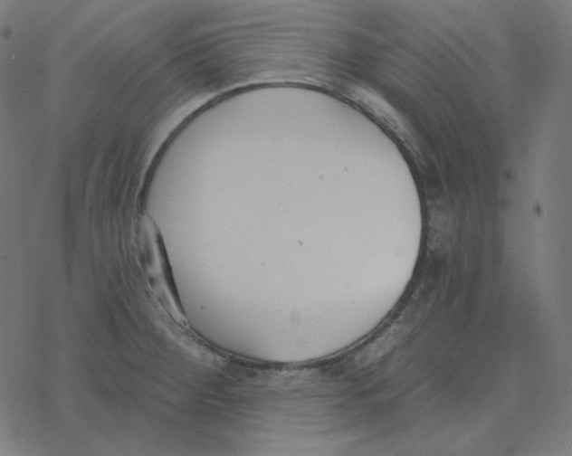 X0000078261284200612011645