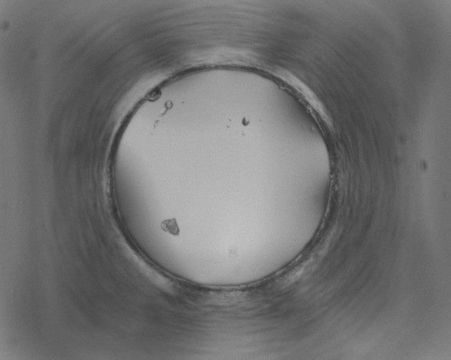 X0000078261285200612011645