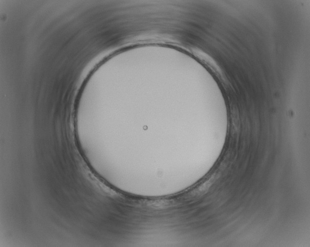 X0000078261288200612011645