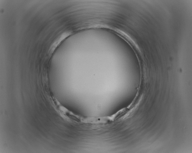 X0000078261289200612011645