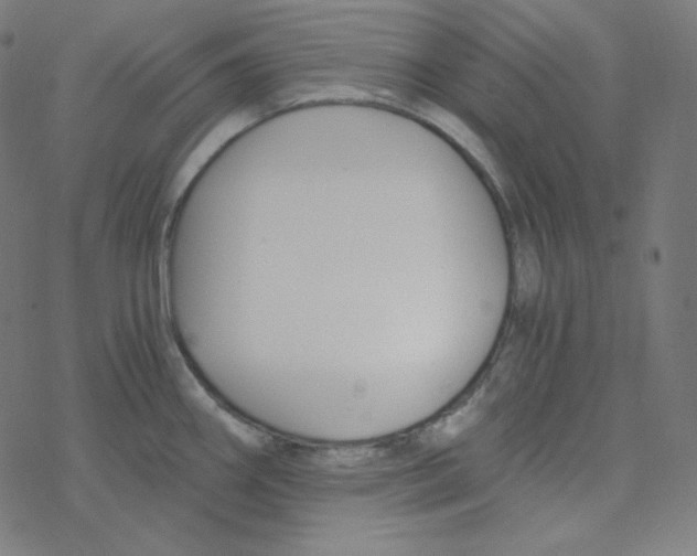 X0000078261290200612011645