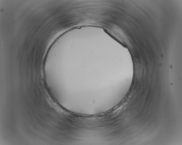 X0000078261292200612011645