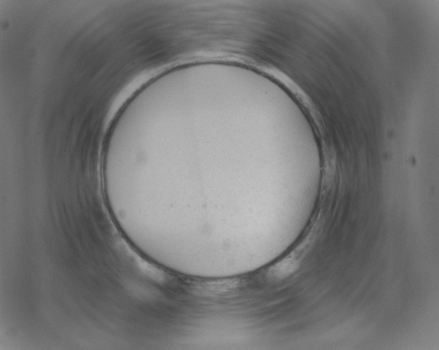 X0000078261294200612011645