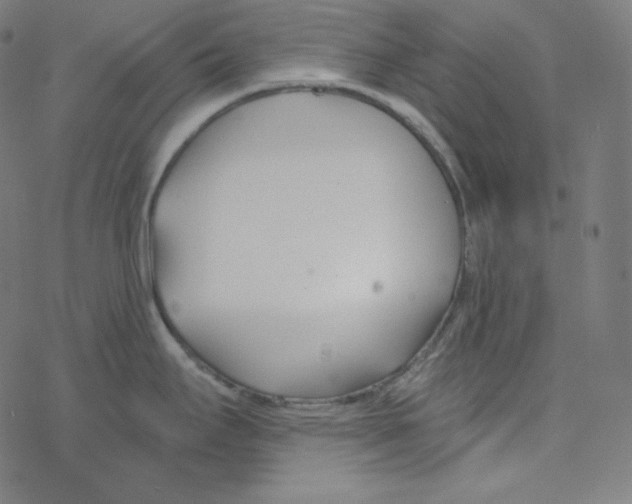 X0000078261295200612011645