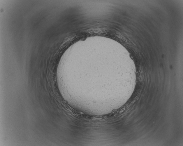 X0000078261297200612011644