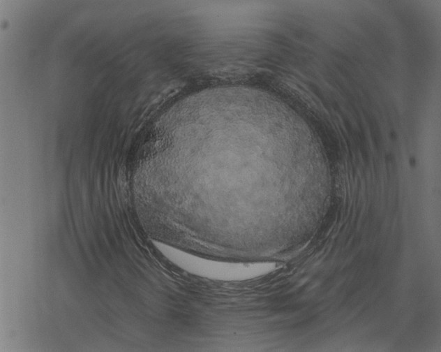 X0000078261298200612011644