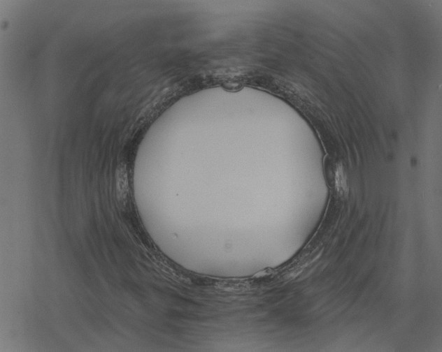 X0000078261299200612011644